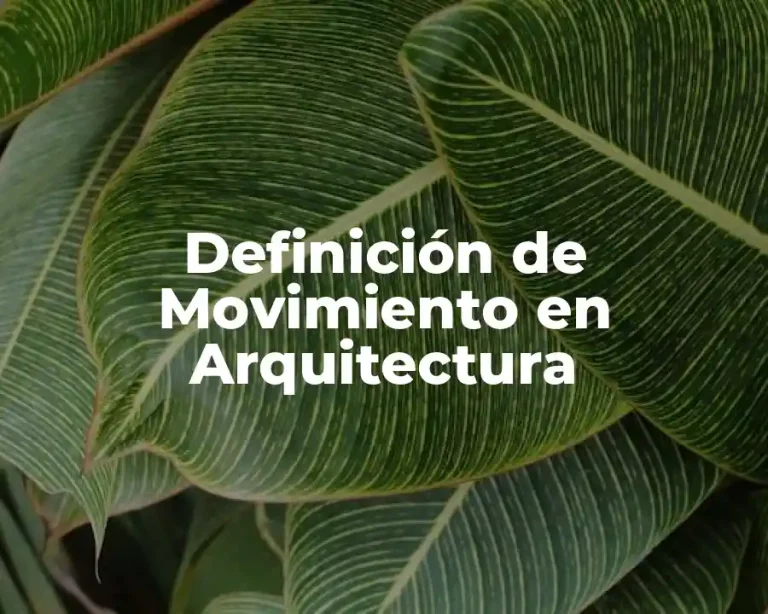Definición de Movimiento en Arquitectura