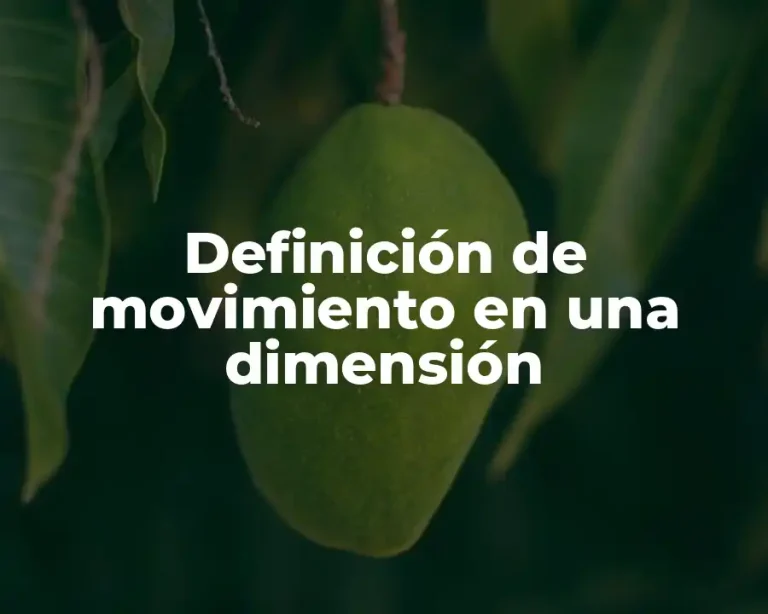 Definición de movimiento en una dimensión