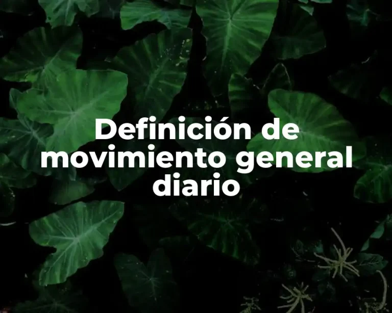 Definición de movimiento general diario