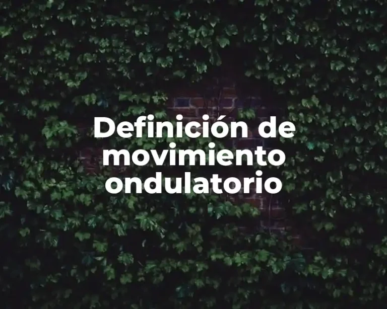 Definición de movimiento ondulatorio