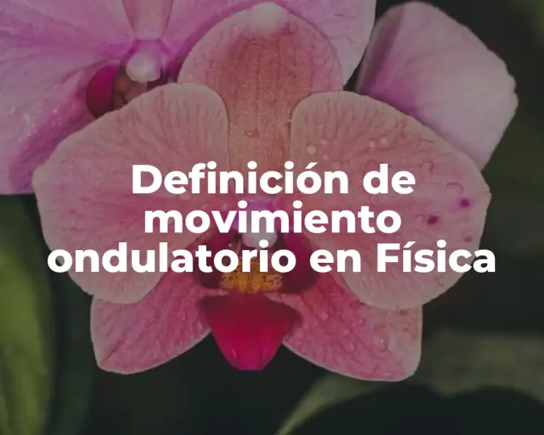 Definición de movimiento ondulatorio en Física