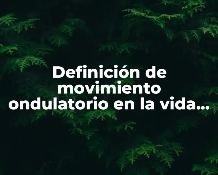 Definición de movimiento ondulatorio en la vida cotidiana