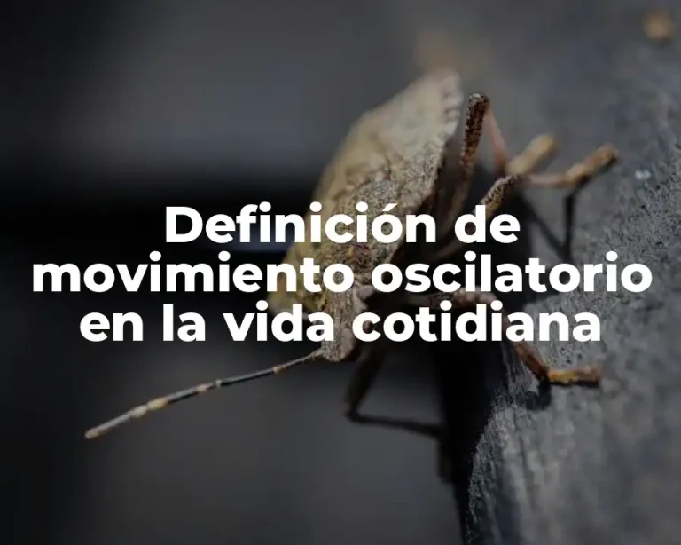 Definición de movimiento oscilatorio en la vida cotidiana