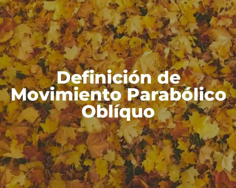 Definición de Movimiento Parabólico Oblíquo