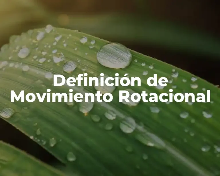 Definición de Movimiento Rotacional