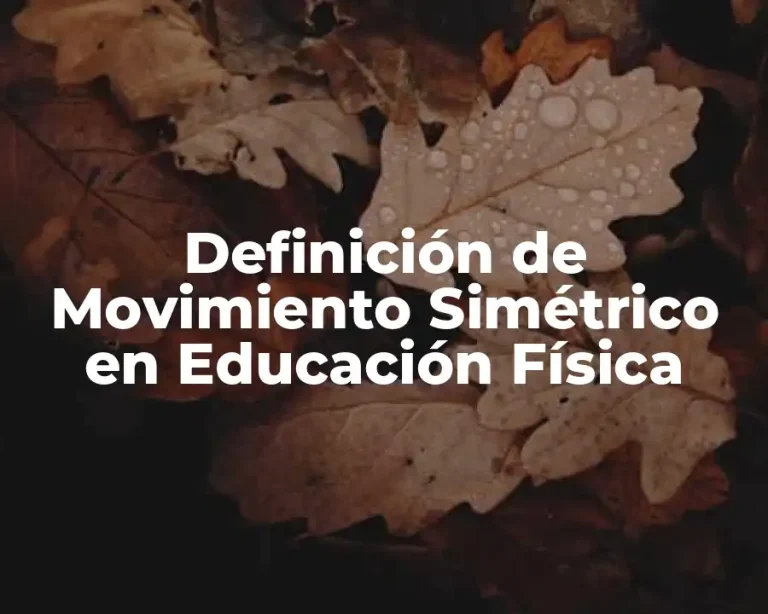 Definición de Movimiento Simétrico en Educación Física