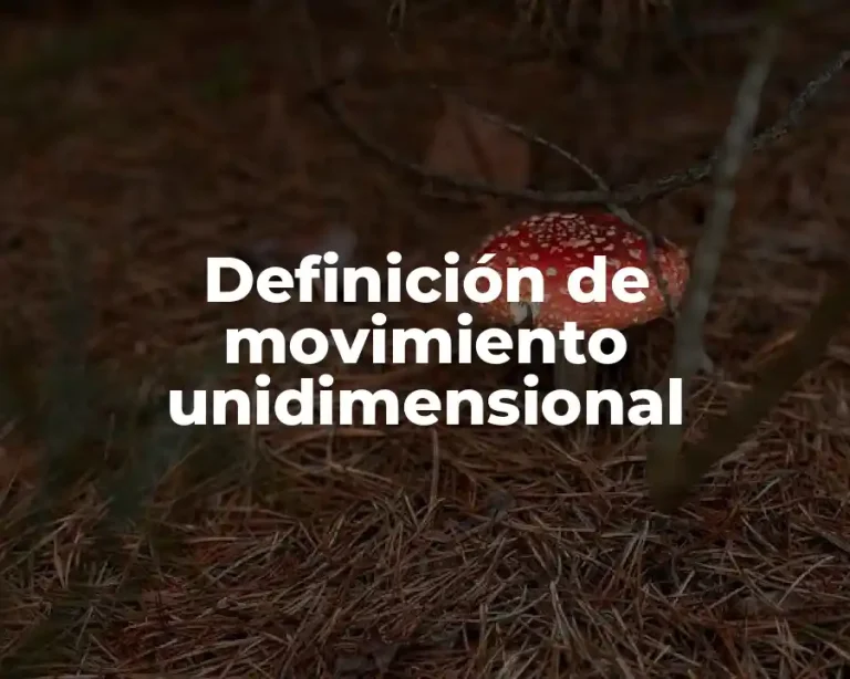 Definición de movimiento unidimensional