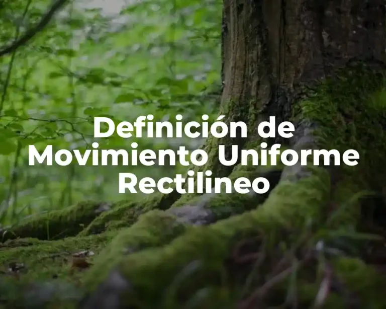 Definición de Movimiento Uniforme Rectilineo
