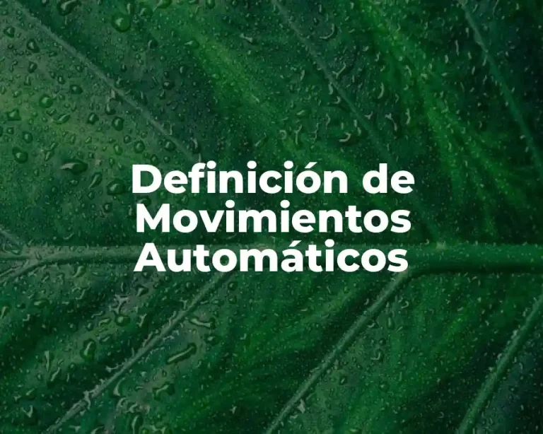 Definición de Movimientos Automáticos