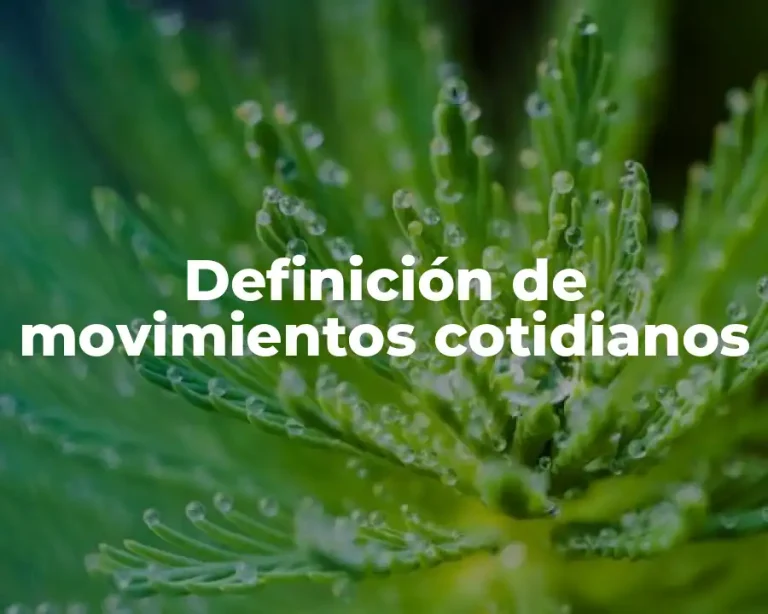 Definición de movimientos cotidianos