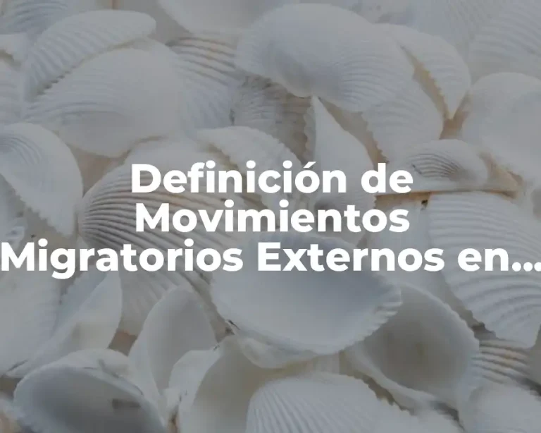 Definición de Movimientos Migratorios Externos en México