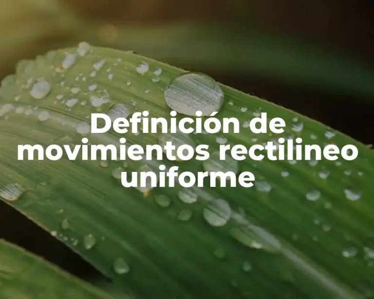 Definición de movimientos rectilineo uniforme
