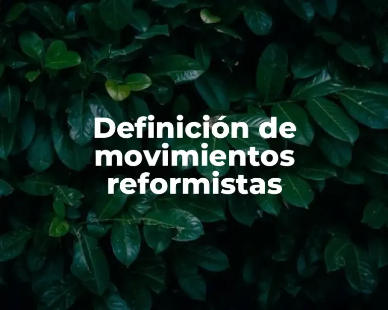 Definición de movimientos reformistas