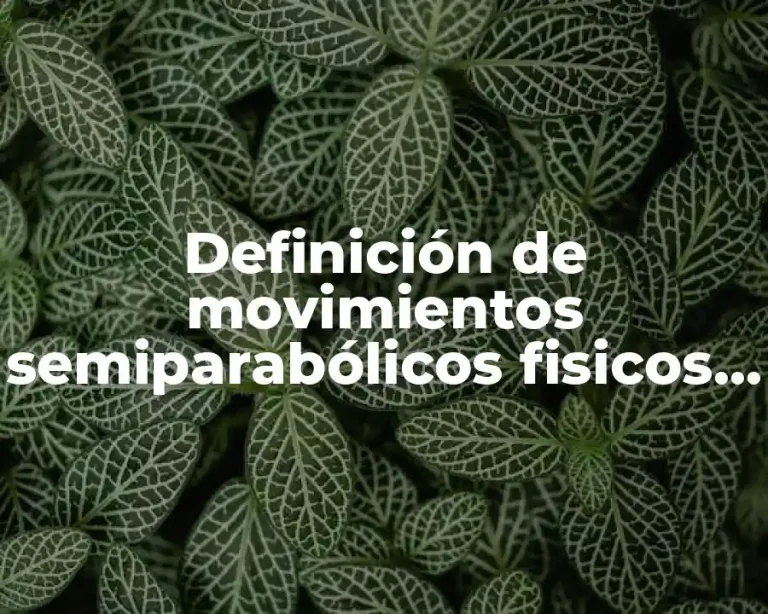 Definición de movimientos semiparabólicos fisicos resueltos