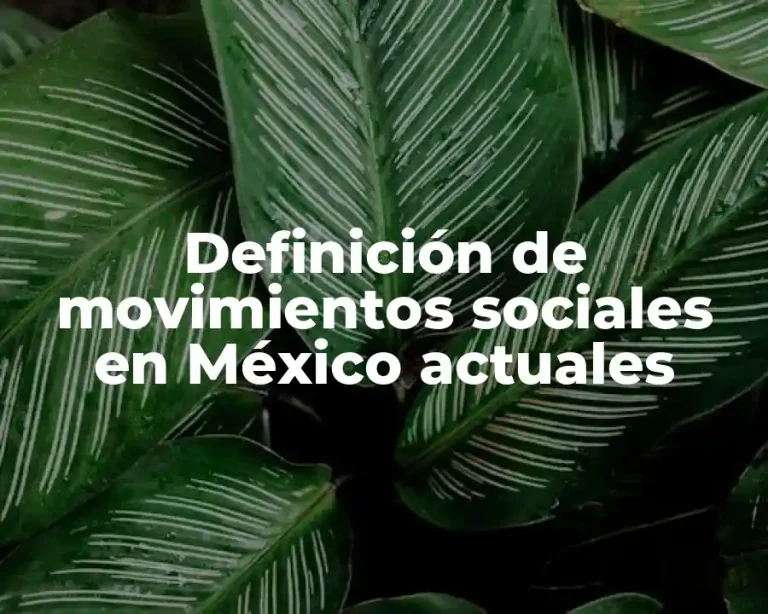 Definición de movimientos sociales en México actuales