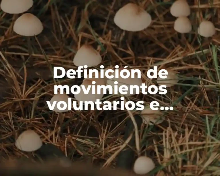 Definición de movimientos voluntarios e involuntarios