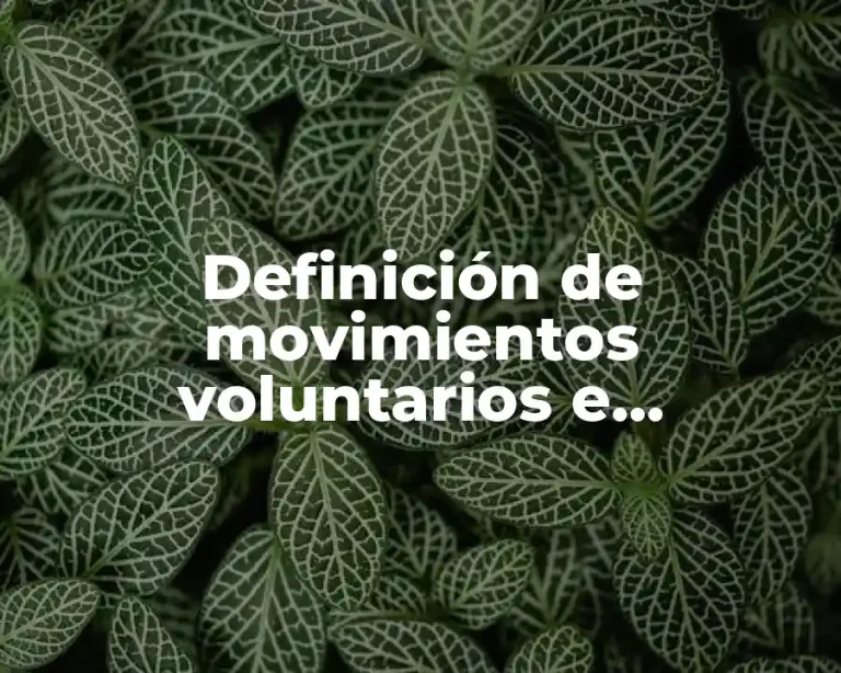 Definición de movimientos voluntarios e involuntarios del cuerpo