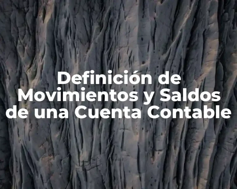 Definición de Movimientos y Saldos de una Cuenta Contable