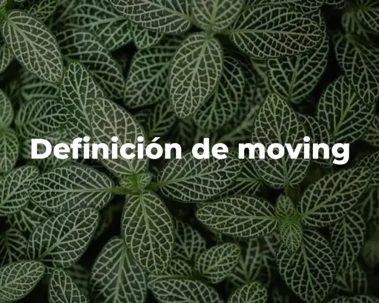 Definición de moving