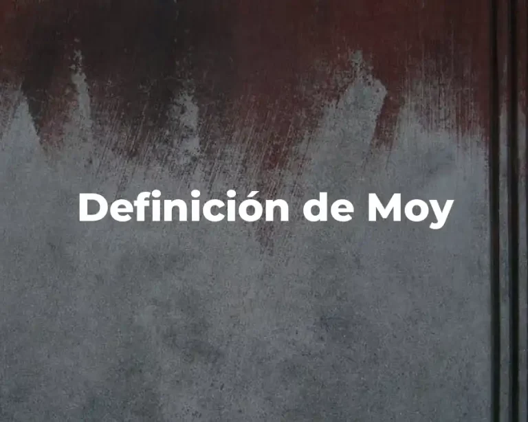 Definición de Moy