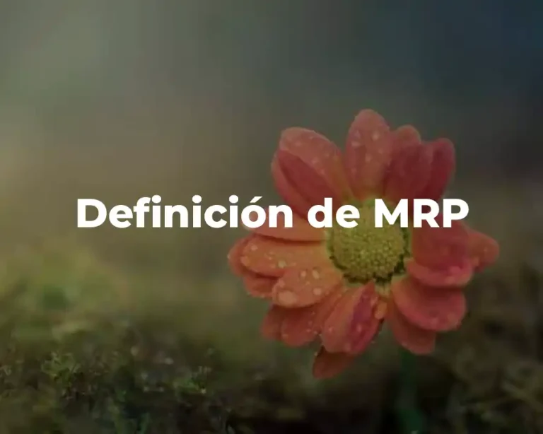 Definición de MRP