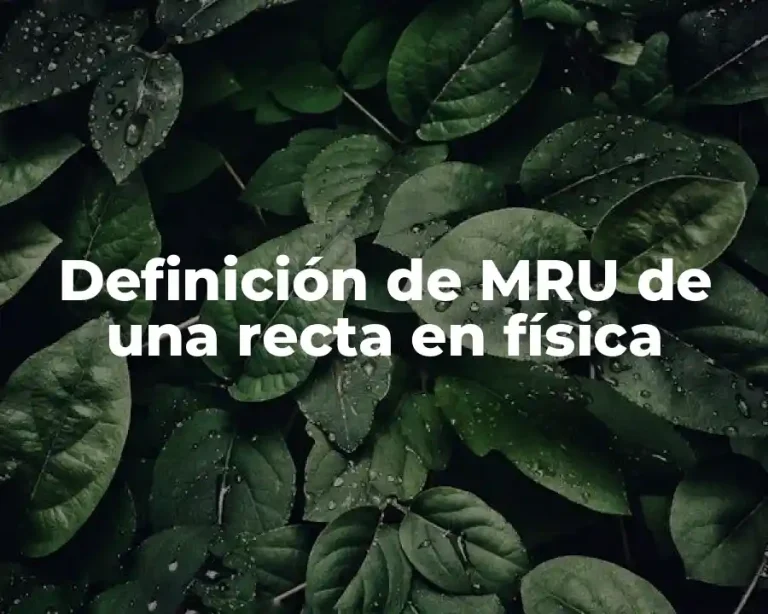 Definición de MRU de una recta en física