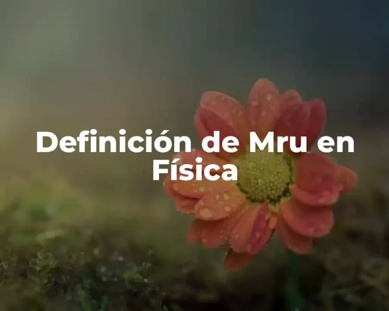 Definición de Mru en Física