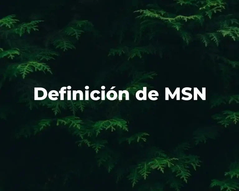 Definición de MSN
