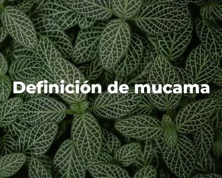 Definición de mucama