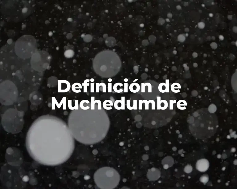 Definición de Muchedumbre