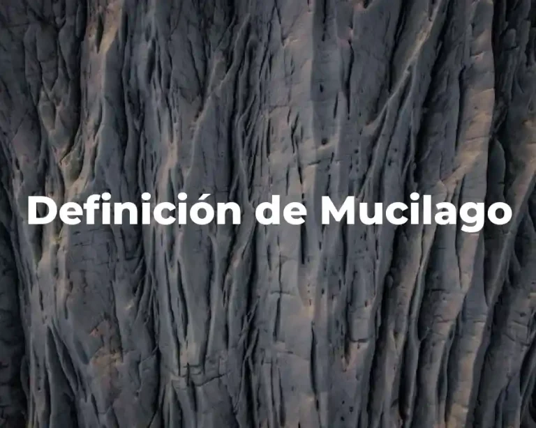 Definición de Mucilago