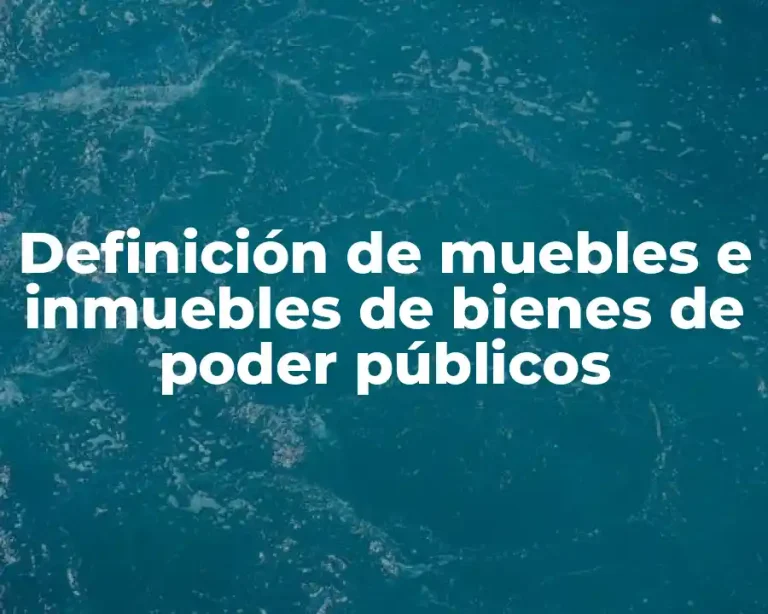Definición de muebles e inmuebles de bienes de poder públicos