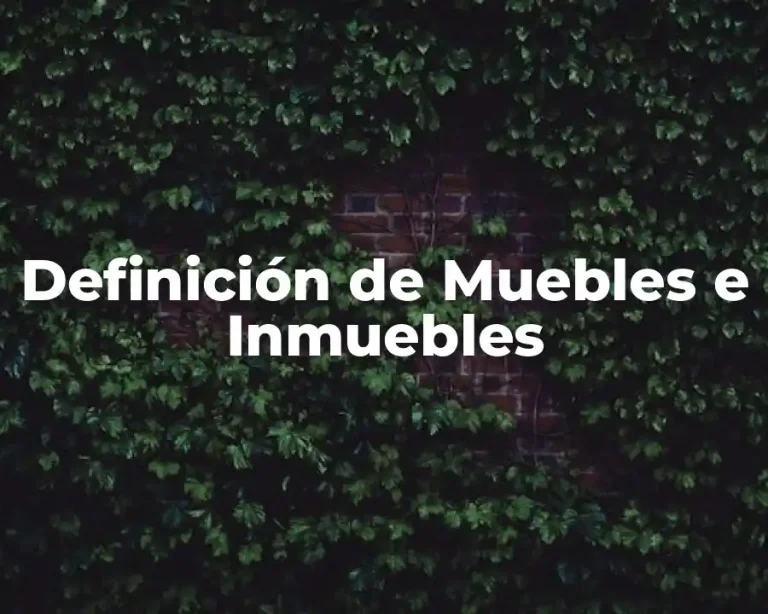 Definición de Muebles e Inmuebles