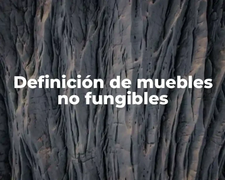 Definición de muebles no fungibles