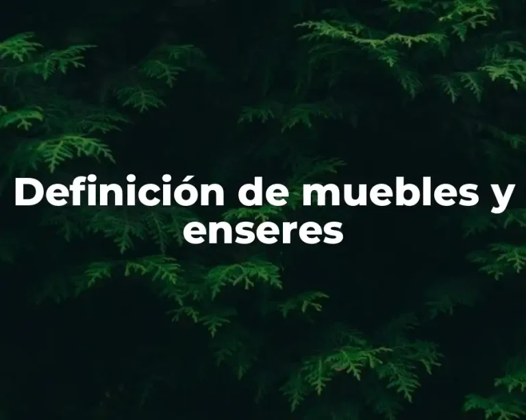 Definición de muebles y enseres