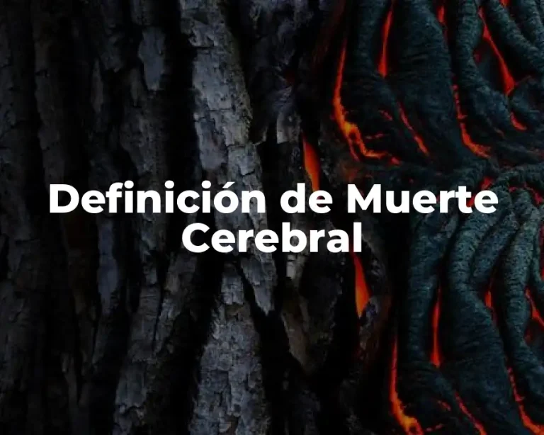 Definición de Muerte Cerebral