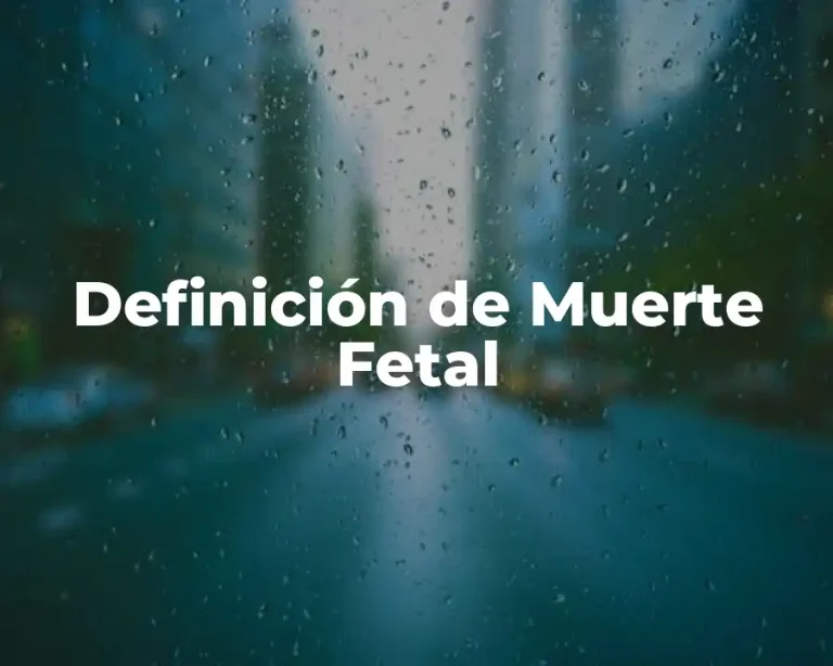 Definición de Muerte Fetal