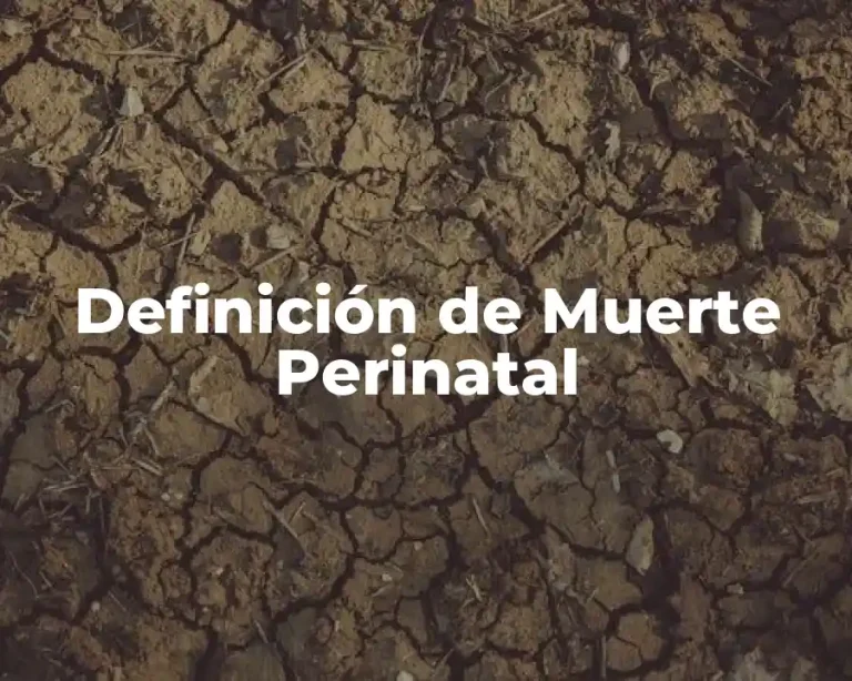 Definición de Muerte Perinatal