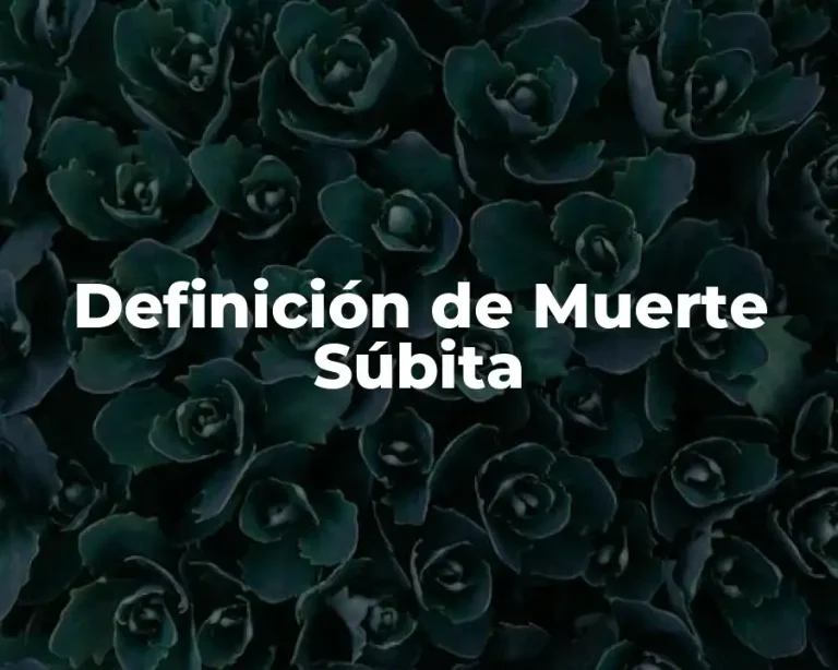 Definición de Muerte Súbita