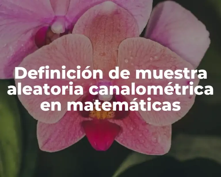 Definición de muestra aleatoria canalométrica en matemáticas