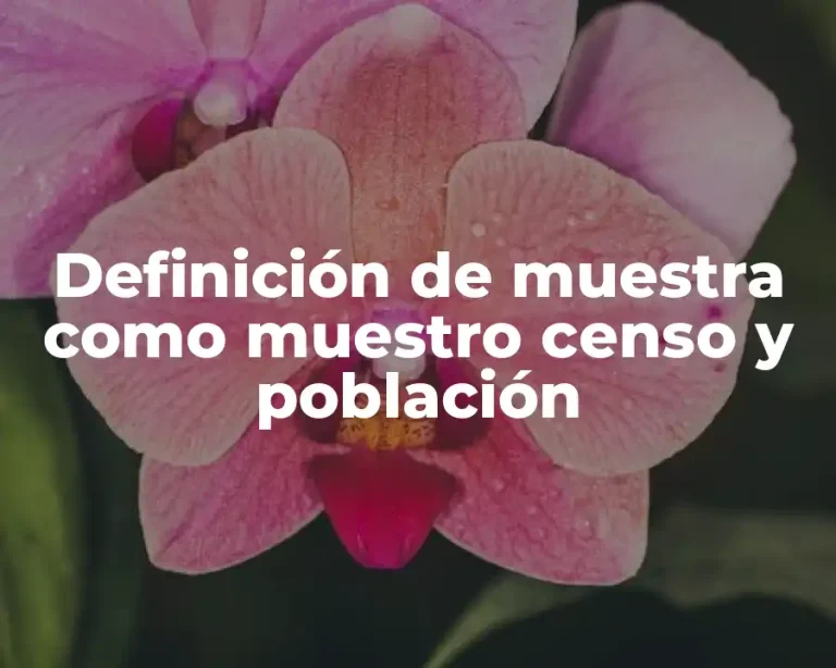 Definición de muestra como muestro censo y población