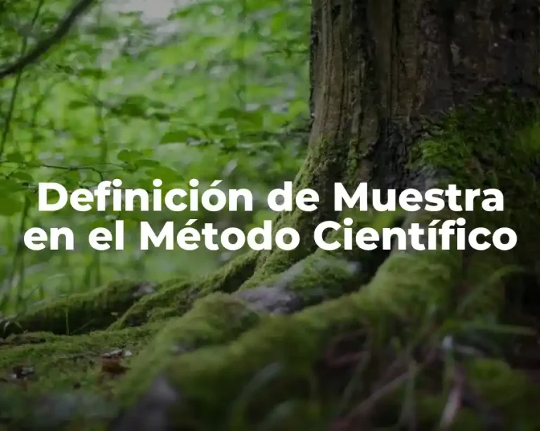 Definición de Muestra en el Método Científico