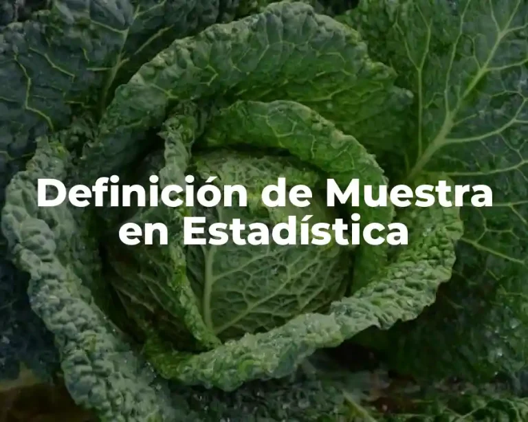 Definición de Muestra en Estadística