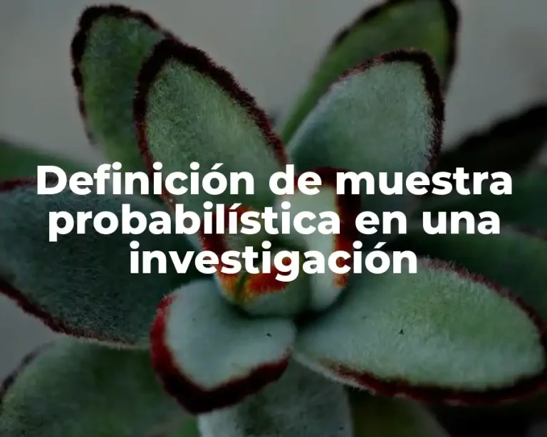 Definición de muestra probabilística en una investigación