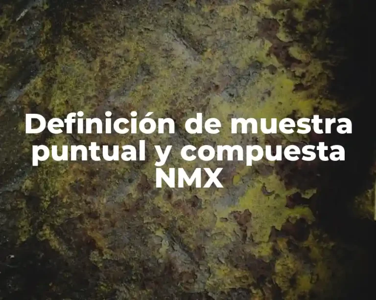 Definición de muestra puntual y compuesta NMX