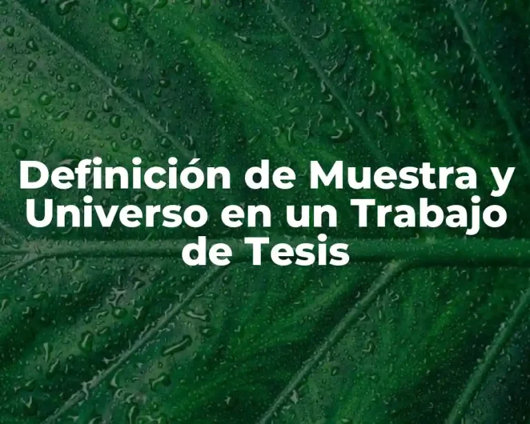 Definición de Muestra y Universo en un Trabajo de Tesis