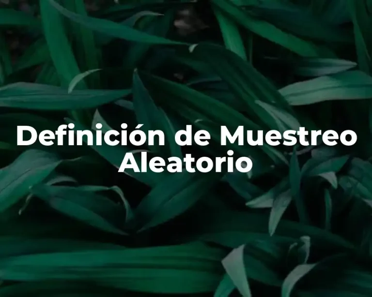 Definición de Muestreo Aleatorio