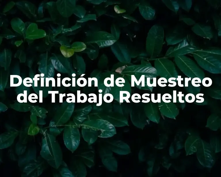 Definición de Muestreo del Trabajo Resueltos