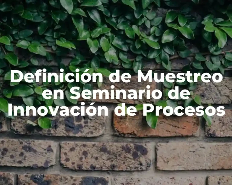 Definición de Muestreo en Seminario de Innovación de Procesos