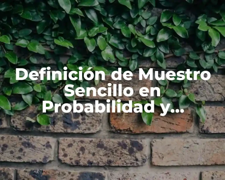 Definición de Muestro Sencillo en Probabilidad y Estadística